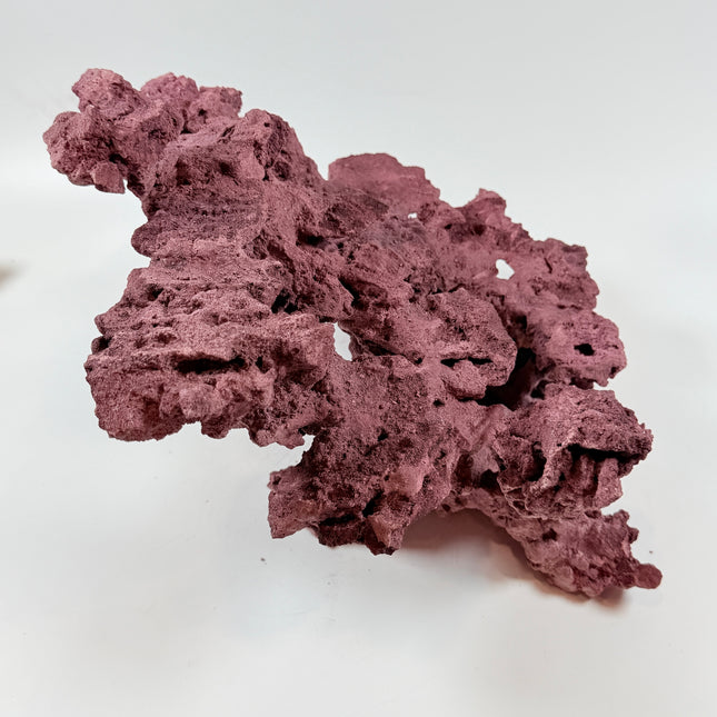 WYSIWYG Coraline Reef Rock #50