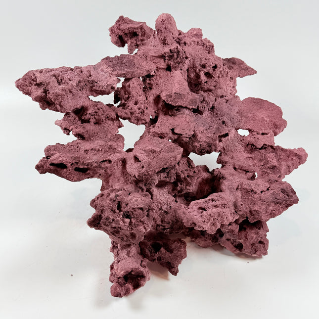 WYSIWYG Coraline Reef Rock #50