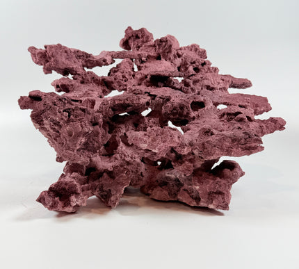 WYSIWYG Coraline Reef Rock #50