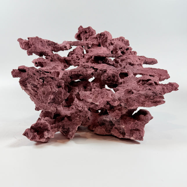 WYSIWYG Coraline Reef Rock #50