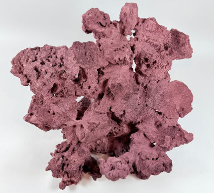WYSIWYG Coraline Reef Rock #50