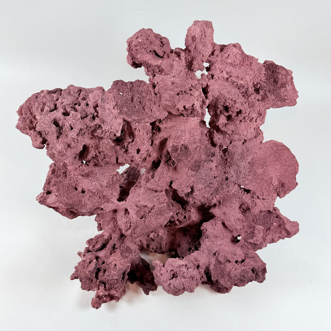 WYSIWYG Coraline Reef Rock #50