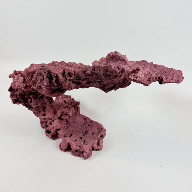 WYSIWYG Coraline Reef Rock #51