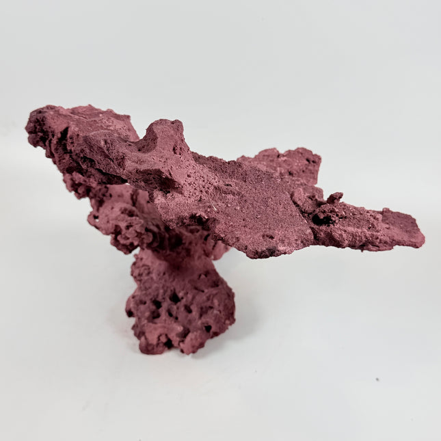 WYSIWYG Coraline Reef Rock #51